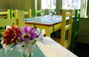 Imagen Bio Solo Orgánico 